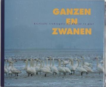 Ganzen en zwanen, B. Ebbinge BK  