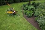 Tuinonderhoud en snoeiwerken, Diensten en Vakmensen, Tuinonderhoud of Snoeiwerk