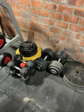 Twee dumbells van elk 48kg.  beschikbaar voor biedingen