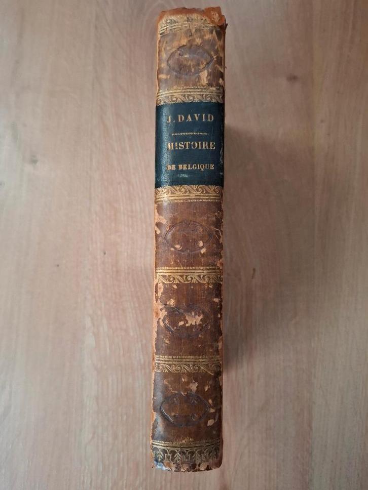 David - Manuel de l'histoire de Belgique - 1853, Livres, Histoire nationale, Enlèvement ou Envoi