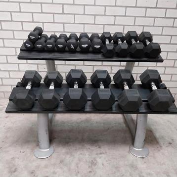 Hexa dumbells set 4 kilo tot 22.5 kilo rogue en sidea + rack beschikbaar voor biedingen