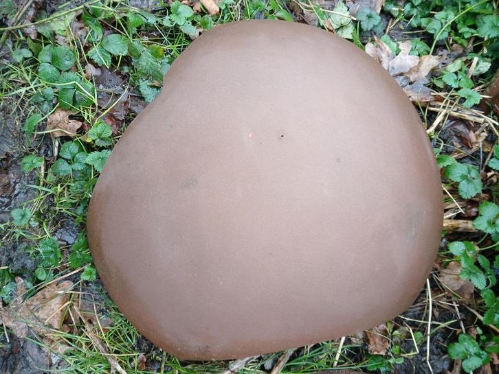 Speciale dakpannen Stormpan Koramic rustiek, Doe-het-zelf en Bouw, Dakpannen en Dakbedekking, Zo goed als nieuw, Dakpannen, Steen of Klei