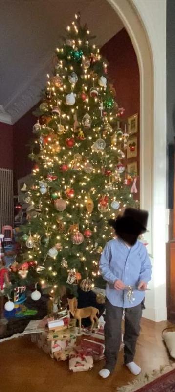 Black box Kunstkerstboom Frasier Fir 🎄305cm🎄 beschikbaar voor biedingen