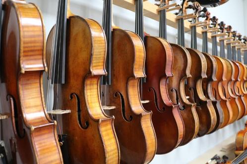 Achat / Location Violon, Alto, Violoncelle, Contrebasse, Musique & Instruments, Instruments à cordes frottées | Violons & Altos