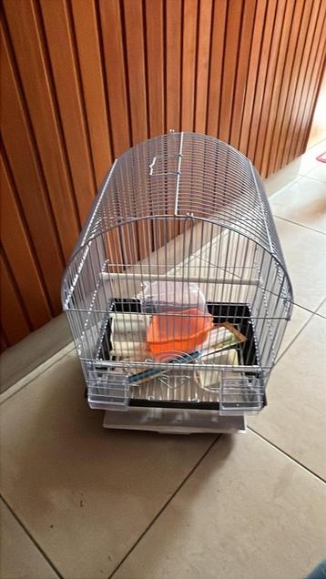 Vogelkooi nieuw beschikbaar voor biedingen