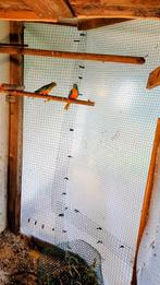 SPLENDID parkieten-koppel, Dieren en Toebehoren, Vogels | Parkieten en Papegaaien, Meerdere dieren, Parkiet