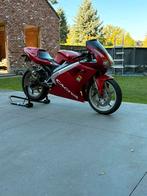 Cagiva mito 125cc 2T, Motoren, 11 kW of minder, 124 cc, 1 cilinder, Sport
