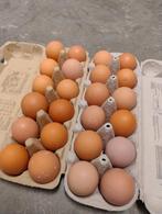 Eieren van kippen met vrije uitloop, Diversen, Levensmiddelen, Ophalen