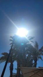 Massages divers region mons femme