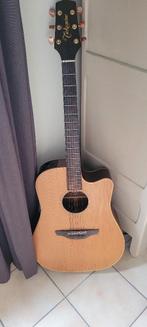 Takamine gitaar, Muziek en Instrumenten, Ophalen, Zo goed als nieuw, Overige typen
