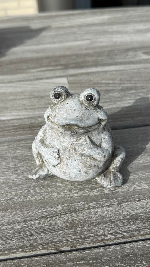 Stenen beeld van een kikker, Tuin en Terras, Tuinbeelden, Ophalen of Verzenden, Zo goed als nieuw, Steen