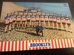 wielerkaart  1976 team brooklyn gios  de vlaeminck sercu, Verzenden, Zo goed als nieuw