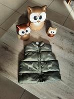 Gilet Tex imprimé dino 12 mois/1 an/taille 80, Enlèvement ou Envoi