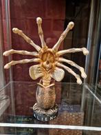 NECA Alien Facehugger Extreme Head Knockers, Collections, Enlèvement ou Envoi