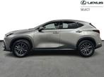 Lexus NX 350h Executive Line + HUD, Auto's, Lexus, Automaat, Overige kleuren, 2487 cc, Bruin
