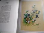 boek: vogelpracht in 24 artistieke afbeeldingen, Boeken, Dieren en Huisdieren, Ophalen of Verzenden, Gelezen, Vogels