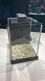 Visbokaal, Dieren en Toebehoren, Ophalen, Gebruikt