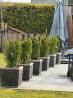 Bloembak + boom, Ophalen