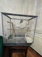 grote vogelkooi, Dieren en Toebehoren, Vogels | Hokken en Kooien, Ophalen, Zo goed als nieuw, Vogelkooi