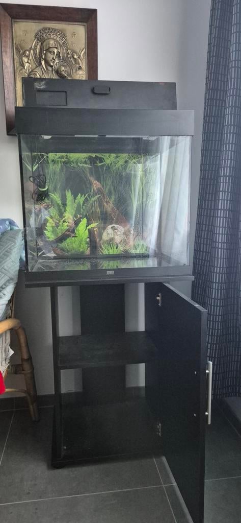 Juwel aquarium 120lmet kast en werkende lamp geen krassen, Dieren en Toebehoren, Ophalen, Juwel