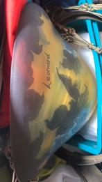 Lustre pate de verre signé Léonard, Enlèvement, Verre