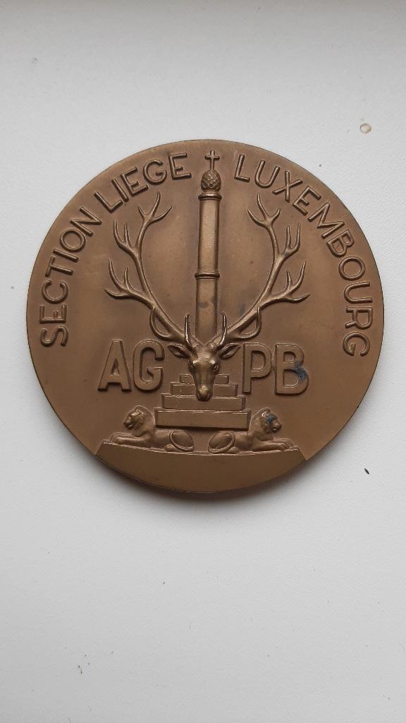 Eretekens, Postzegels en Munten, Penningen en Medailles, Overige materialen, Ophalen