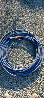 Kew hogedrukslang, Ophalen