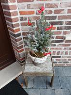 Gratis af te halen in Buggenhout, Tuin en Terras, Ophalen, In pot, Overige soorten, Minder dan 100 cm