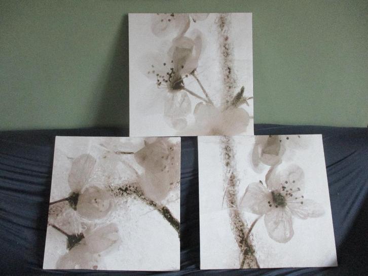 tryptique, Maison & Meubles, Accessoires pour la Maison | Cadres, Utilisé, 50 à 75 cm, 50 à 75 cm, Bois, Enlèvement