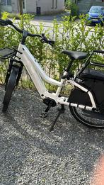 Riese & Muller Multicharger2 Mixte Family, Enlèvement, Comme neuf