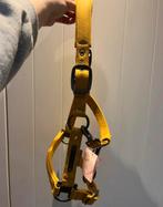 Nieuw! Eskadron halster shetland, Enlèvement ou Envoi, Comme neuf