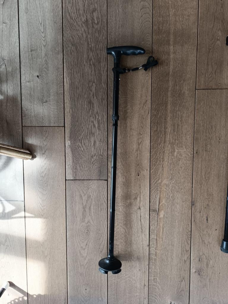 Wandelstok, Diversen, Ophalen of Verzenden