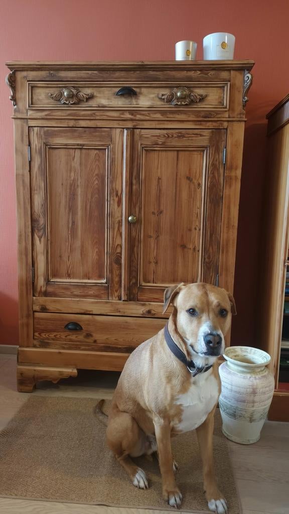 Magnifique Armoire ancienne en bois naturel, pièce unique, Enlèvement ou Envoi