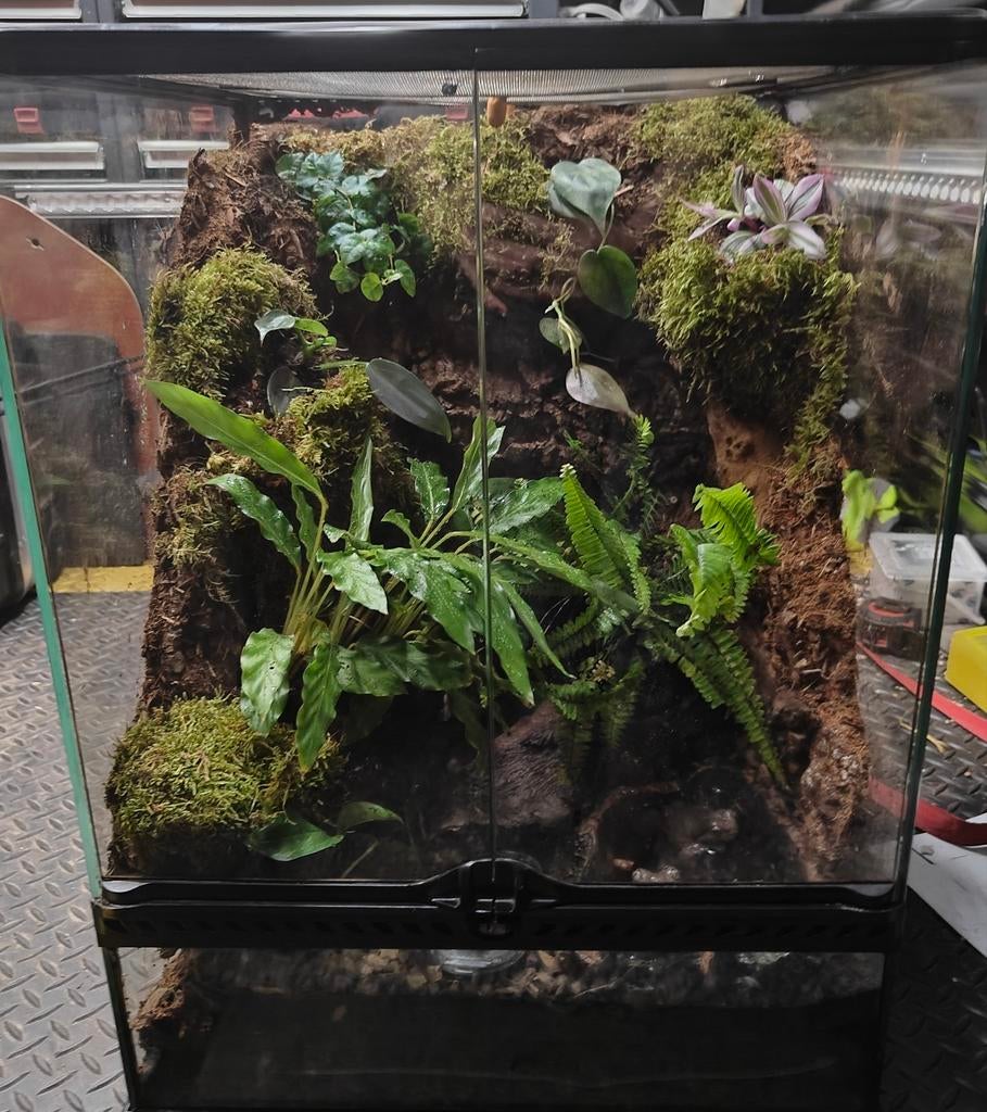 Terrarium achtergronden, Ophalen, Nieuw, Terrarium of Paludarium