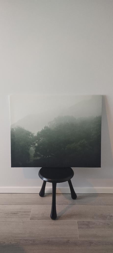 Deux cadres Ikea Pjätterryd forêt NEUFS, Maison & Meubles, Accessoires pour la Maison | Cadres, Neuf, 50 à 75 cm, 75 à 100 cm