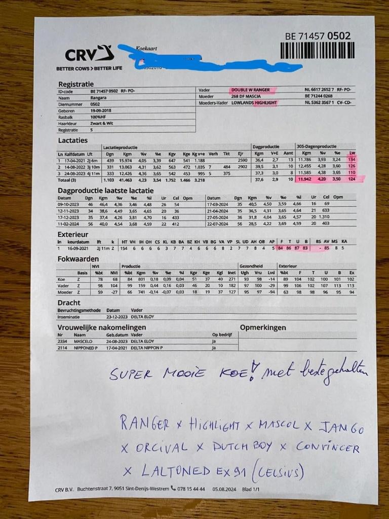 prachtige dekstier vader competor, Dieren en Toebehoren, Runderen