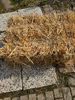 Kleine pakjes gerste stro, Enlèvement