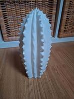 Cactus en pierre, Maison & Meubles, Enlèvement, Comme neuf