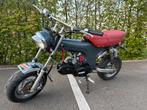 Dax 125 cc moteur zonsheng 140, Vélos & Vélomoteurs, Autres modèles, 4 vitesses, 125 cm³, Comme neuf