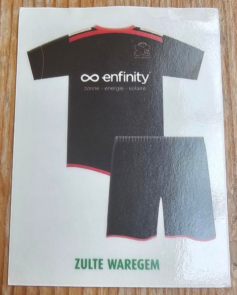 Panini Football 2010 #464 Out Shirt Zulte Waregem Voetbal!, Hobby en Vrije tijd, Stickers en Plaatjes, Zo goed als nieuw, Sticker