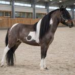 Quelques couvertures supplémentaires seront disponibles en 2, Plusieurs animaux