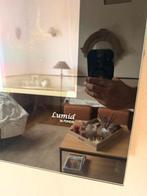 Poelle a boisdesign Lumia, Enlèvement, Utilisé, Insert, Cheminée au bois