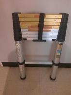 Ladder telescopique, Enlèvement ou Envoi