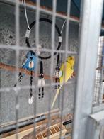 Cage oiseaux galvanisé