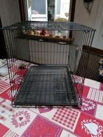 Honden Bens kleur zwart, Dieren en Toebehoren, Hondenhokken, Ophalen