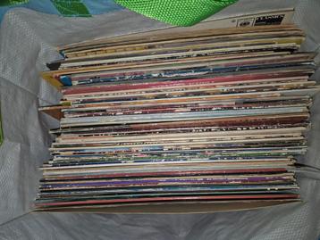 Lp's  beschikbaar voor biedingen