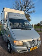 Leuke Mercedes paardencamionette, opbouw 2015!, Dieren en Toebehoren, Paarden en Pony's | Trailers en Aanhangwagens, Ophalen, Zo goed als nieuw