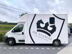 2 paards camionette hengstenuitvoering, Dieren en Toebehoren, Paarden en Pony's | Trailers en Aanhangwagens, Ophalen of Verzenden