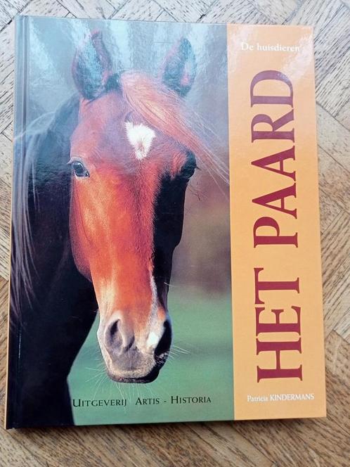 Patricia Kindermans: Het paard, Livres, Animaux & Animaux domestiques, Utilisé, Enlèvement ou Envoi
