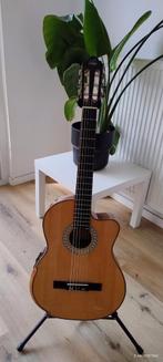 Fishman Guitar Klassieke Elektrovoorversterker, Ophalen of Verzenden, Zo goed als nieuw